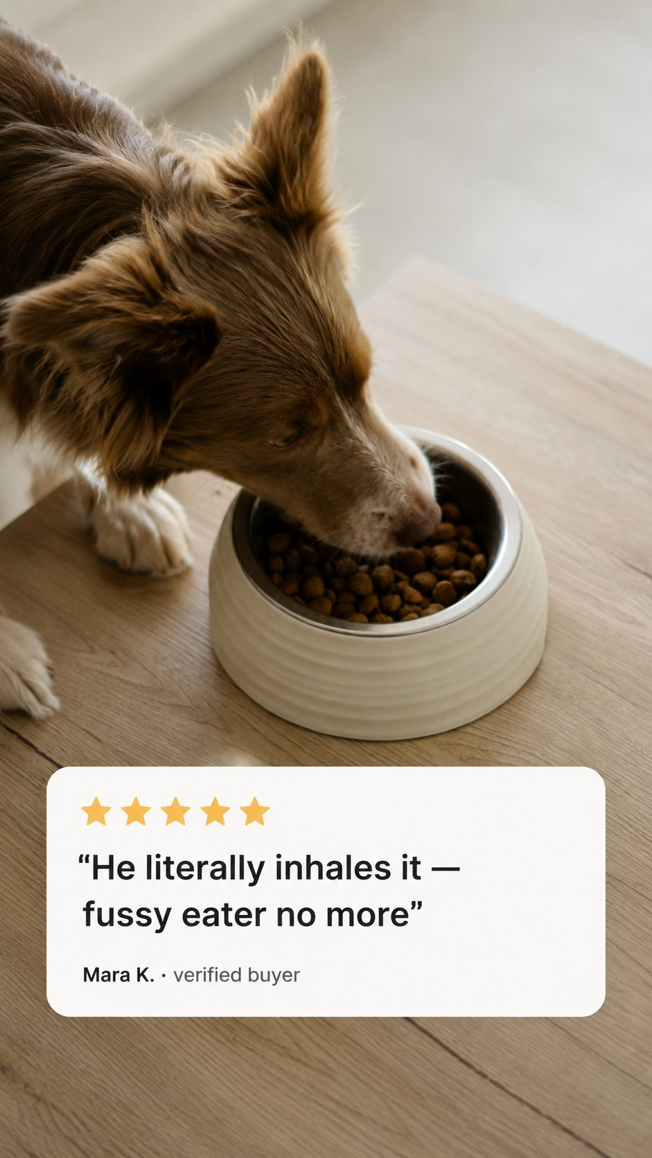 Pet ad creative